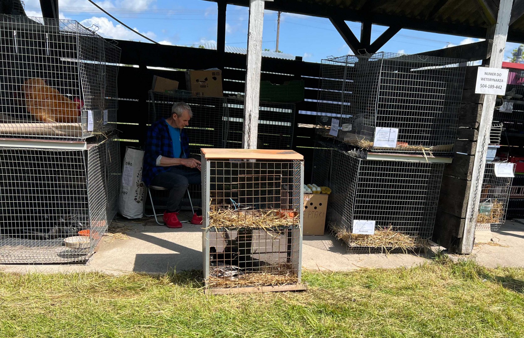 W Lubaniu, w gminie Nowa Karczma wystartowały Pomorskie Agro Targi. Posłuchaj relacji z mobilnego studia Weekend FM