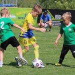 fot. Wojciech Piepiorka