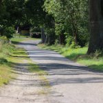 fot. Wojciech Piepiorka