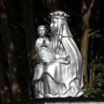 fot. Wojciech Piepiorka