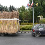 fot. Stanisław Kamiński