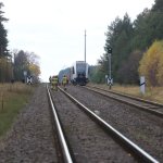 Fot. Wojciech Piepiorka