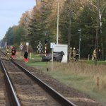 Fot. Wojciech Piepiorka