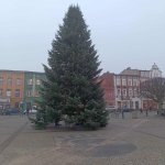 fot. Klaudia Cieplińska-Bednarek