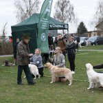 fot. Stanisław Kamiński