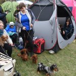 fot. Stanisław Kamiński