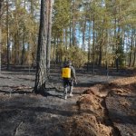 fot. Nadleśnictwo Lipusz