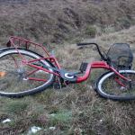 Fot. Wojciech Piepiorka